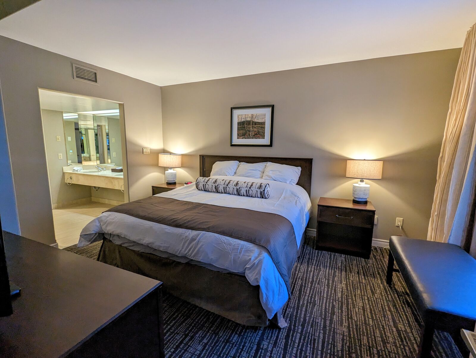 Large 1-Bedroom Condo